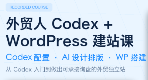 大卫·外贸人Codex + WordPress建站课(更新8月) 大卫·外贸人Codex + WordPress建站课(更新8月)