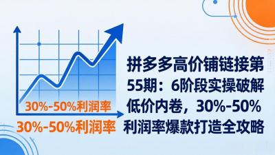 【精】拼多多高价铺链接第55期：6阶段实操破解低价内卷，30%-50%利润率爆款打造全攻略