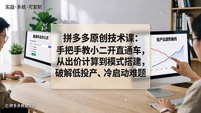 （18159期）拼多多原创技术课：手把手教小二开直通车，从出价计算到模式搭建，破解低投产、冷启动难题