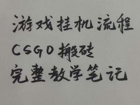 游戏挂G全流程笔记分享，CSGO游戏搬砖，小白看了当天学会见收益【揭秘】
